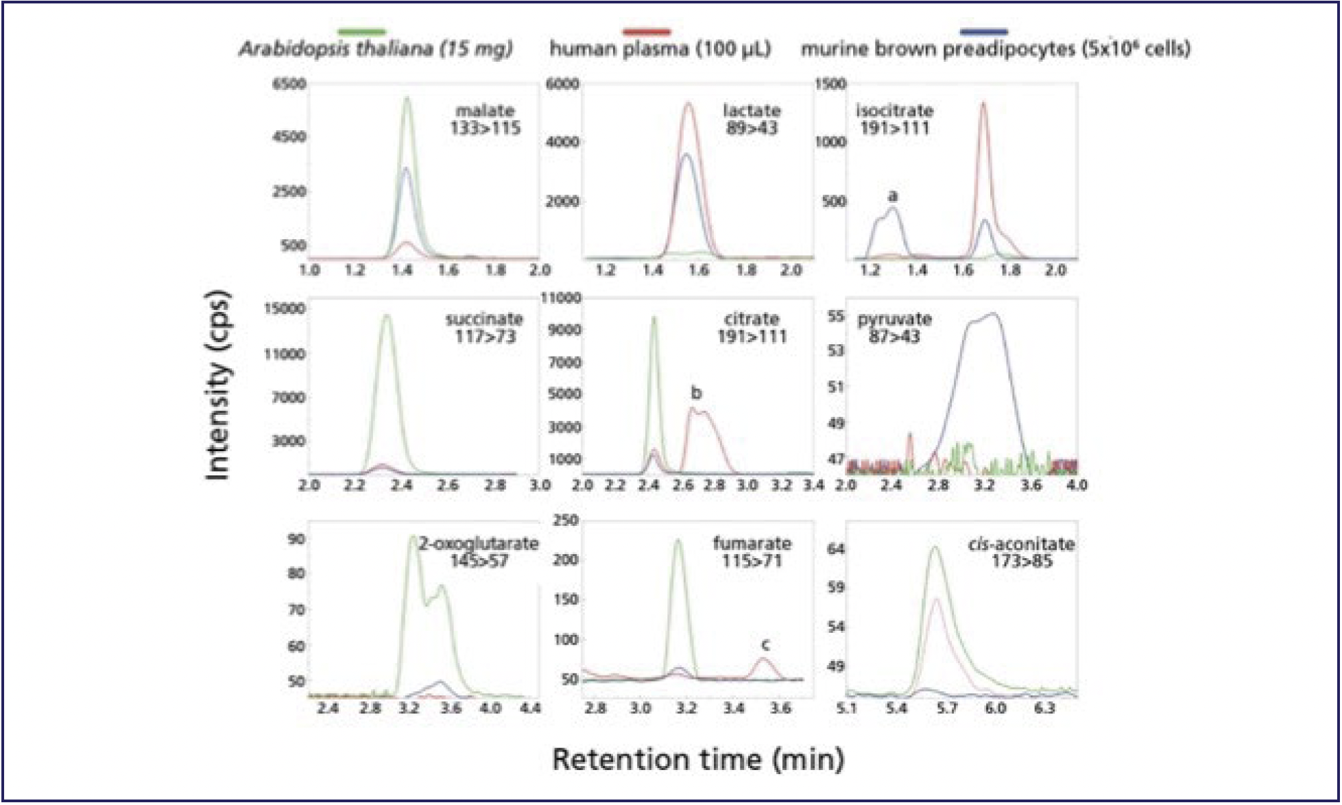 FIGURE 2: Ion chromatograms of TCA carboxylates (malate, lactate, isocitrate, succinate, citrate, pyruvate, 2-oxoglutarate, fumarate, and cis-aconitate) identified in A. thaliana, human plasma, and murine brown preadipocytes (7).