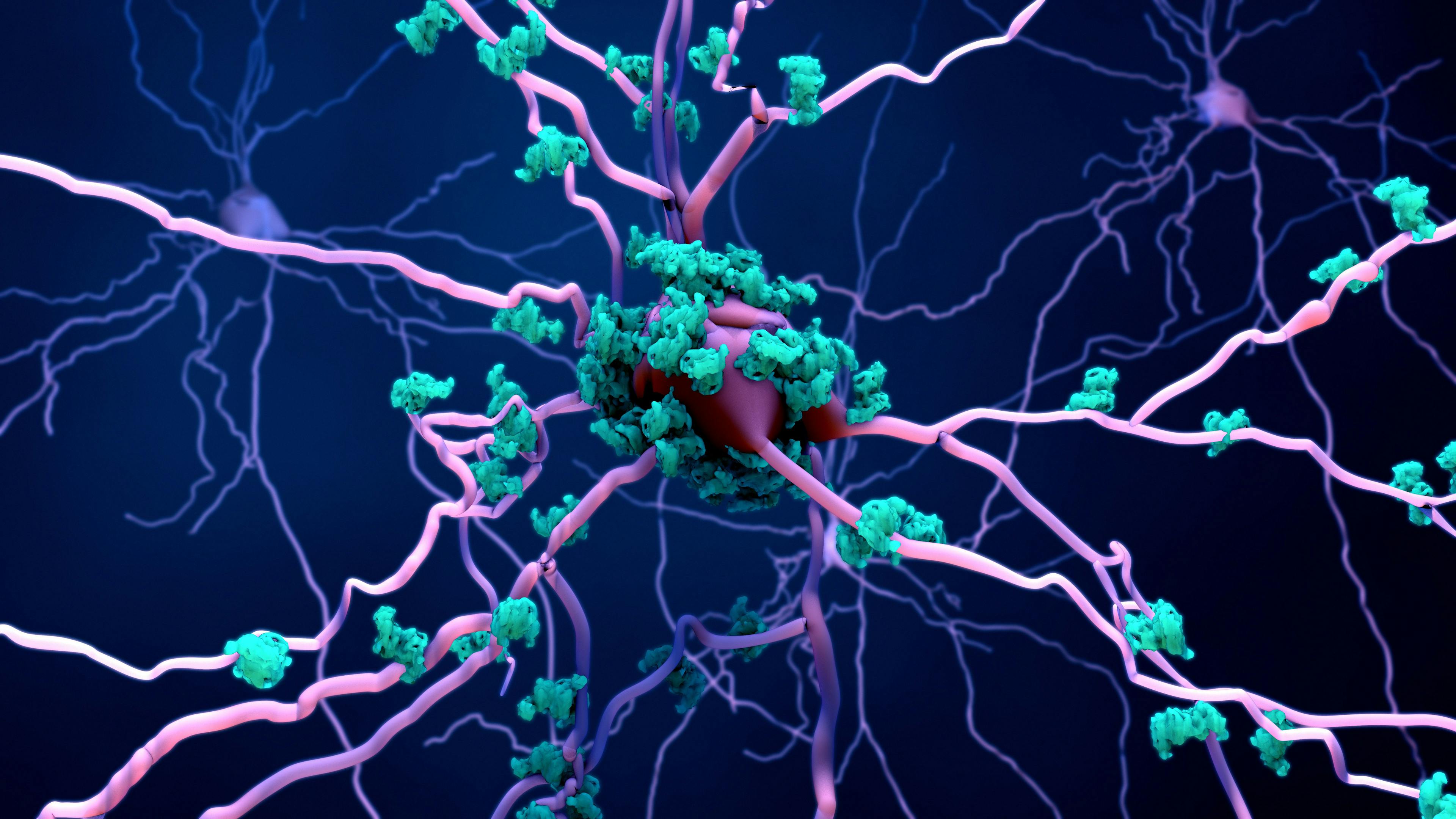 Death of neurons in the aging brain or Proteins in neurons | Image Credit: © Design Cells - stock.adobe.com
