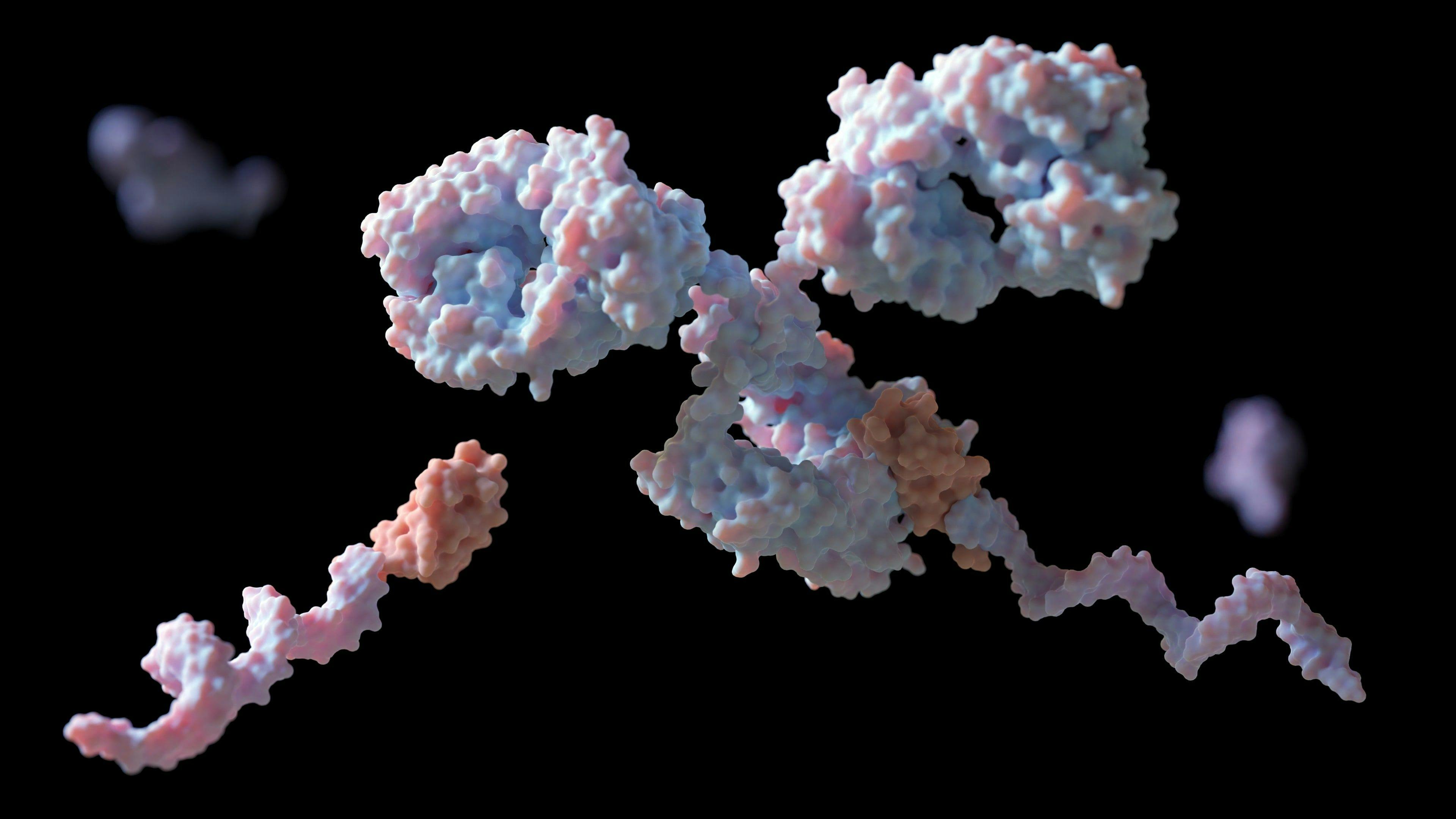 Conjugal of DNA to primary antibodies with protein G and linker for multiplexed cellular targeting: 3D rendering | Image Credit: © Love Employee - stock.adobe.com