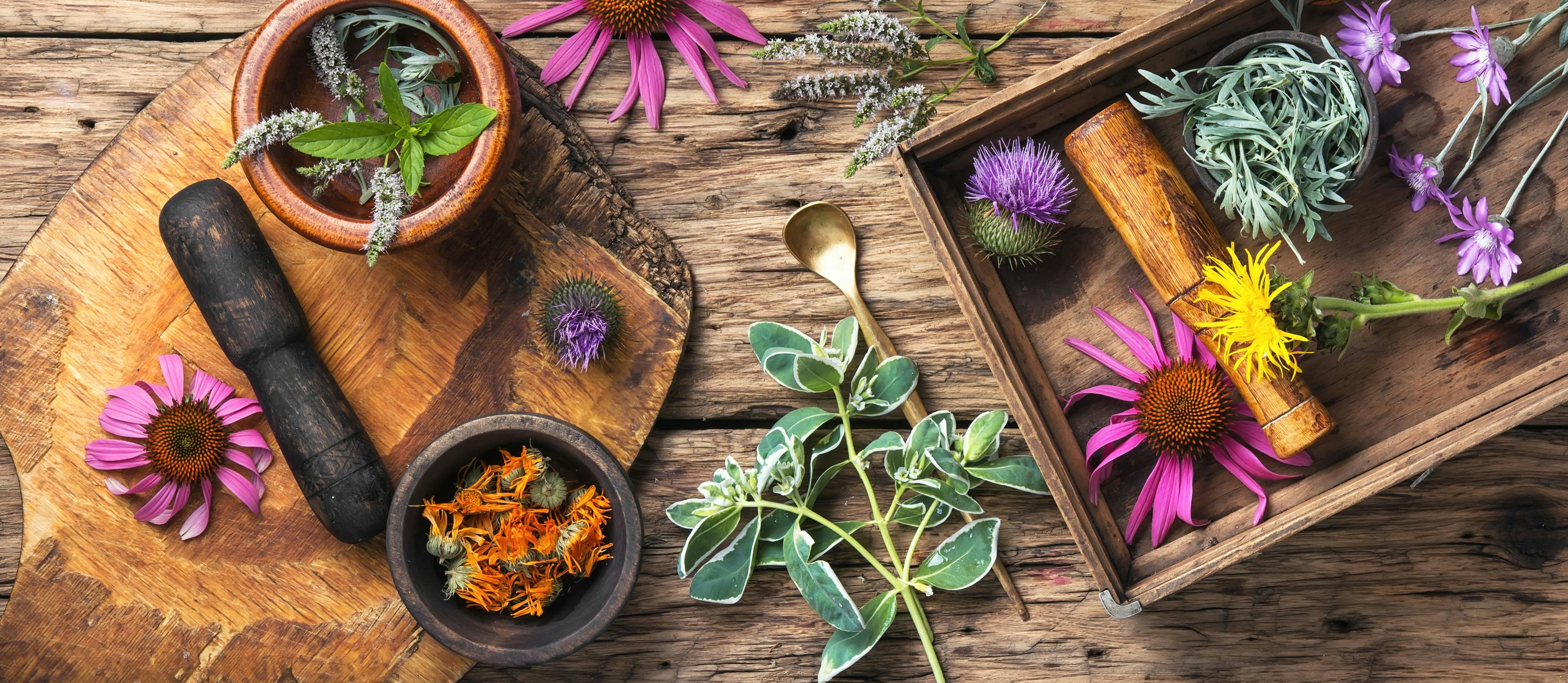 set healthy herbs | Image Credit: © nikolaydonetsk - stock.adobe.com