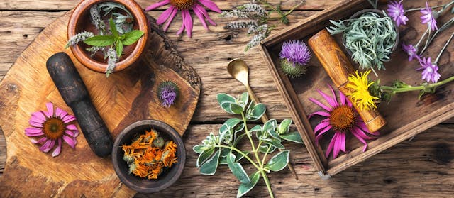 set healthy herbs | Image Credit: © nikolaydonetsk - stock.adobe.com