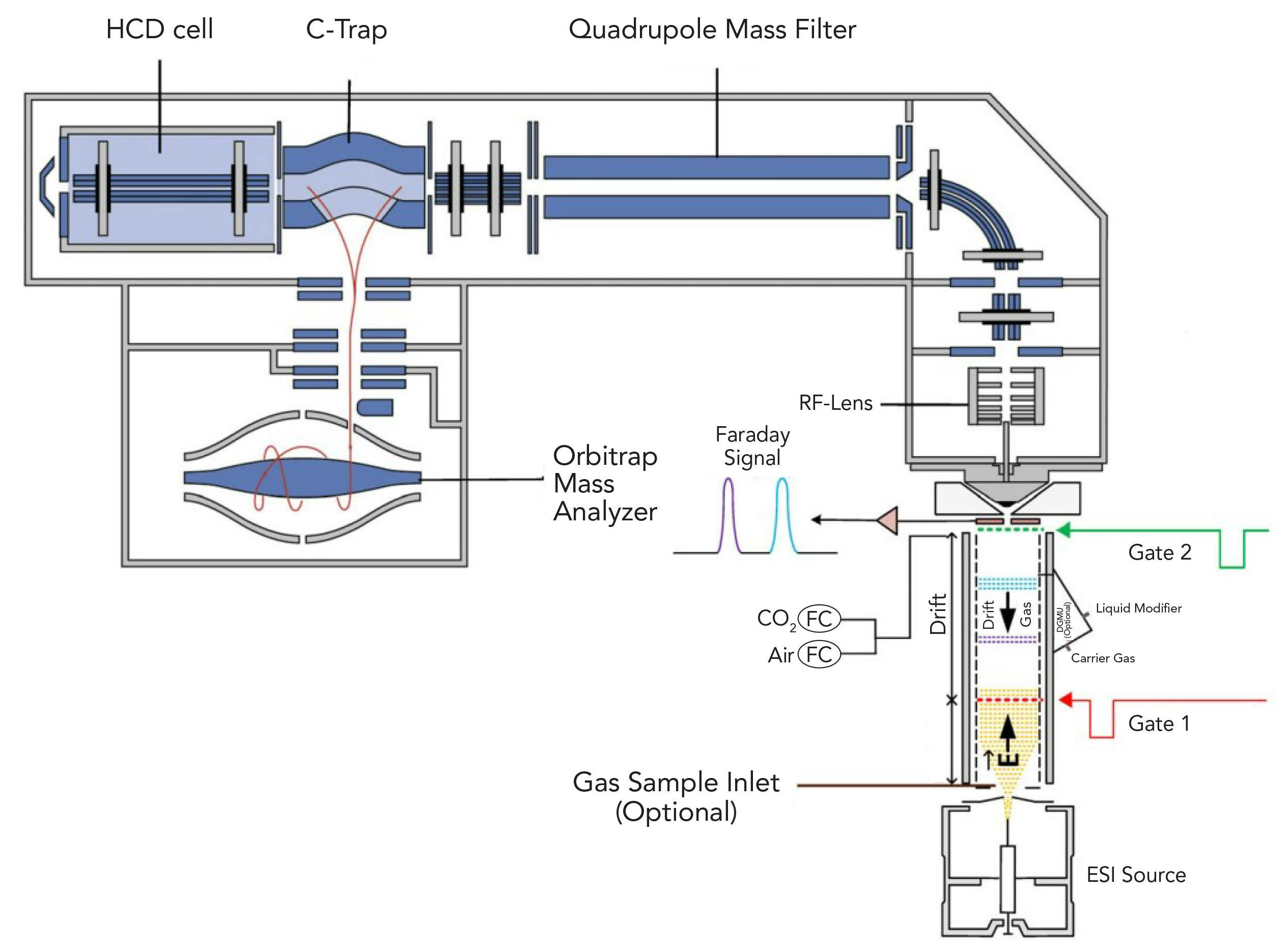 Figure 1: Instrument layout details of the dual‐gate linear drift tube operated at atmospheric pressure prior to the mass spectrometer. The drift tube replaces the standard electrospray ionization (ESI) source on the front of the MS instrument.
