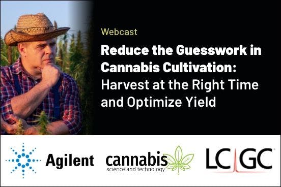 Reduce the Guesswork in Cannabis Cultivation: Harvest at the Right Time and Optimize Yield