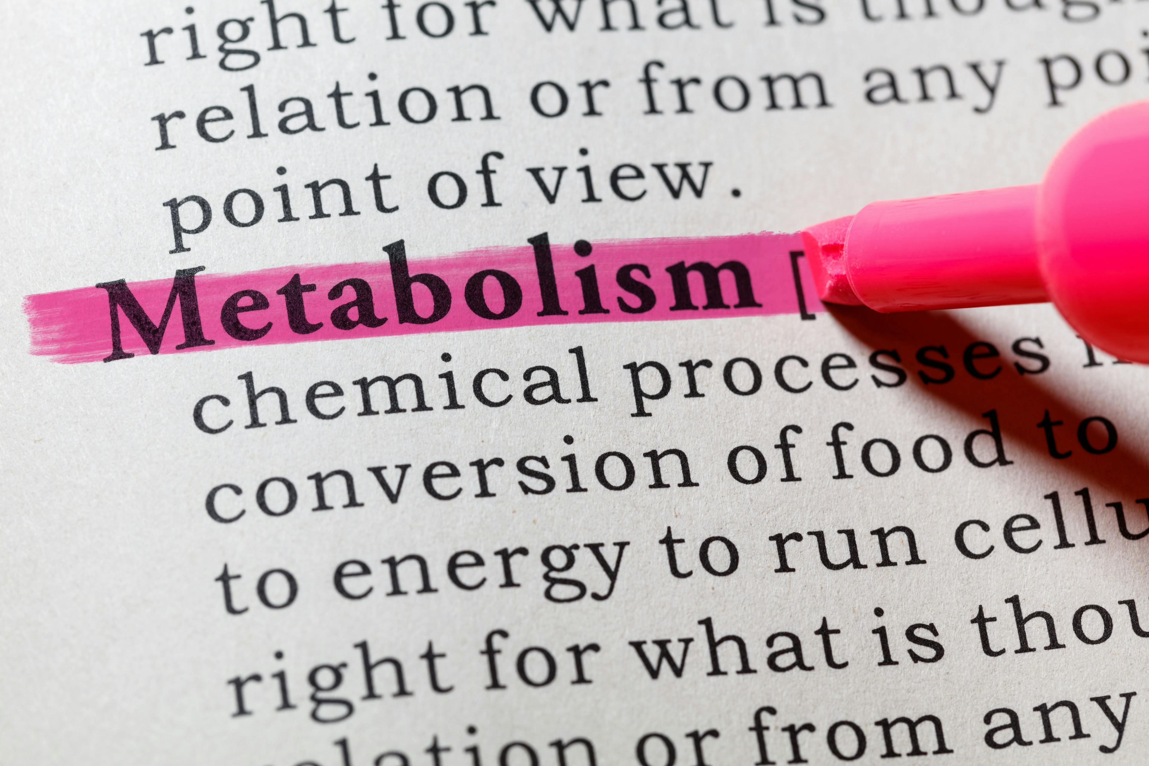 definition of metabolism | Image Credit: © Feng Yu - stock.adobe.com