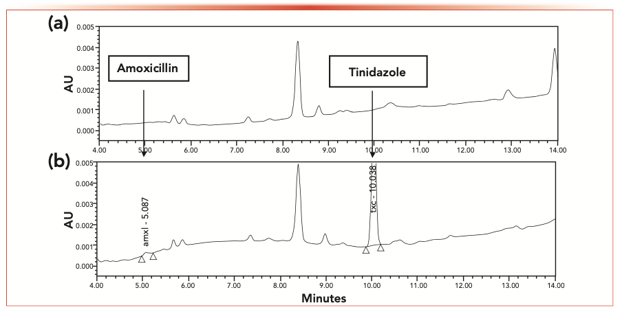 FIGURE 2: (a) Chromatogram of blank plasma; (b) chromatogram of blank plasma spiked with 0.5 μg/mL (LLOQ) of amoxicillin and 19.3 μg/mL tinidazole.