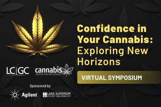 Confidence in Your Cannabis: Exploring New Horizons 