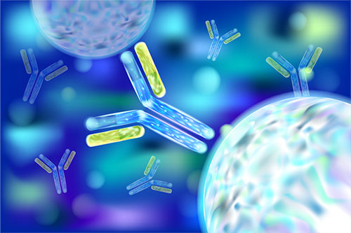 Mobile Affinity Selection Chromatography Advances Quality Assessment of Monoclonal Antibodies 