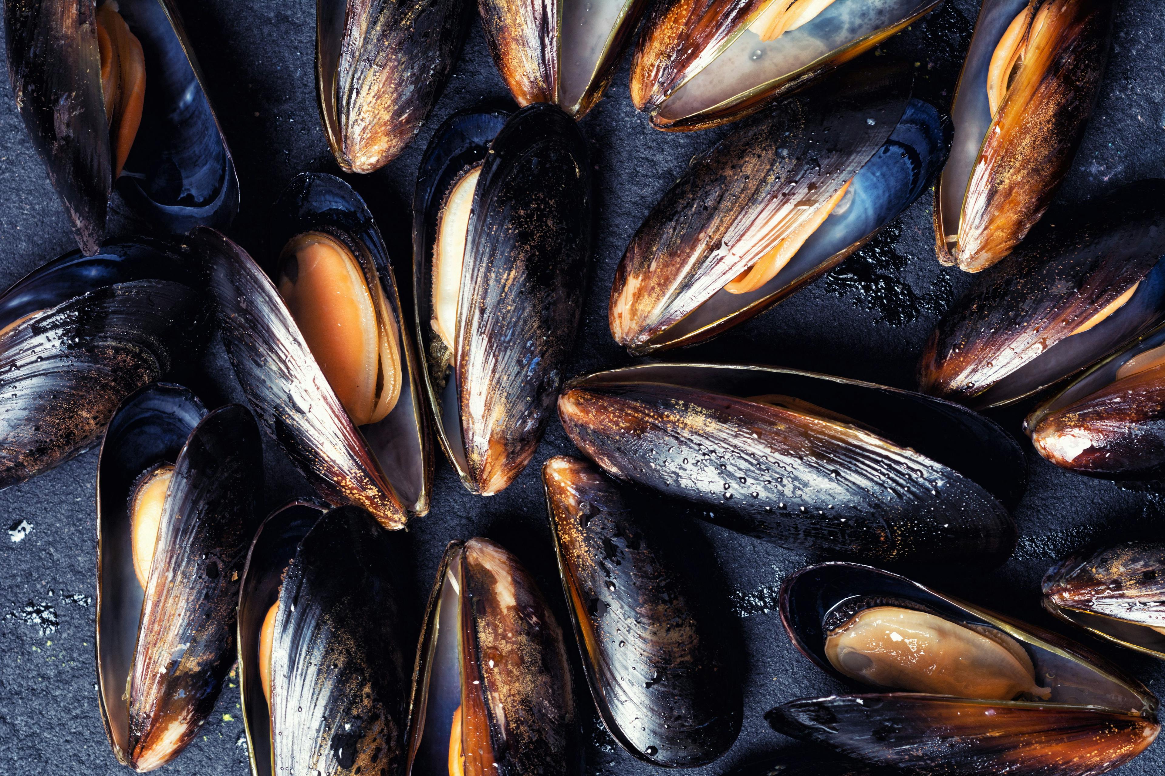 Texture of mussels | Image Credit: © whitestorm - stock.adobe.com