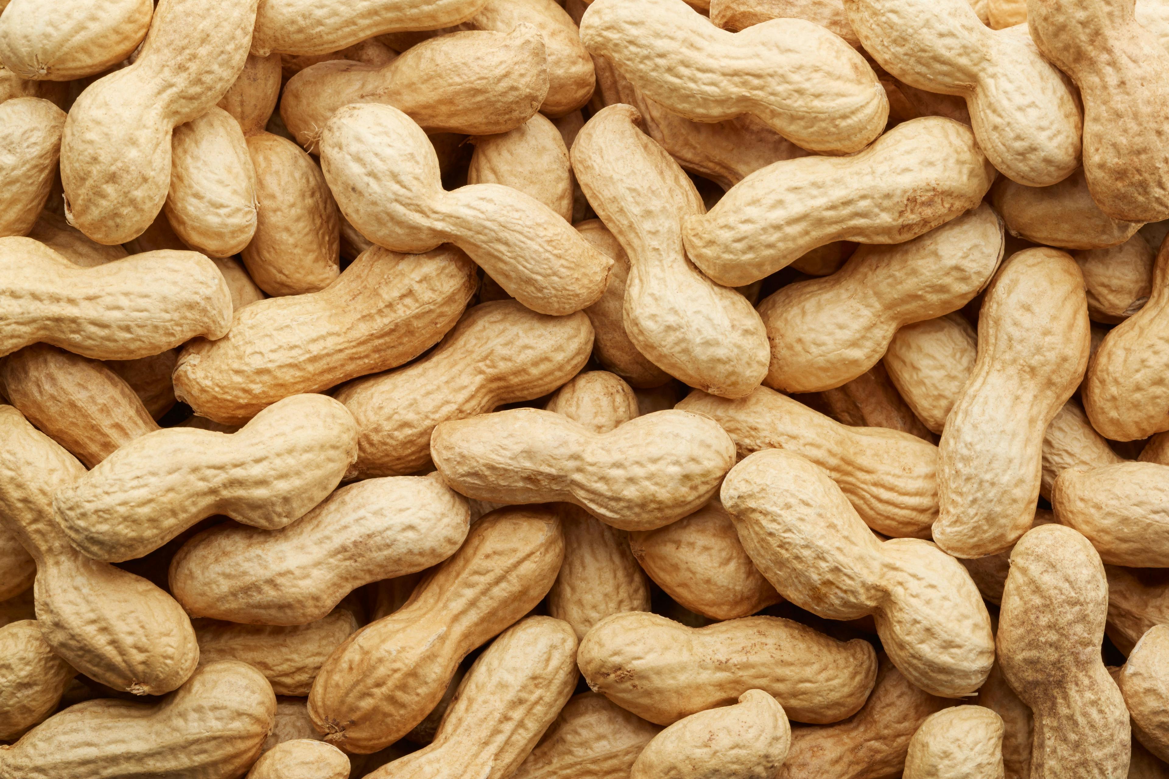 Peanuts in shell texture background | Image Credit: © andersphoto - stock.adobe.com