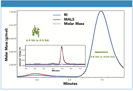 Figure 2: SEC-MALS of AAV8-null sample using refractive index (RI) for concentration measurement are shown. The MALS (red) and RI (blue) signals are normalized and the average and distribution of determined molar masses (green) were determined using Wyatt Astra (v. 7.3.1.9) based on a dn/dc of 0.185 and using a “sphere” model for the icosahedral AAV.