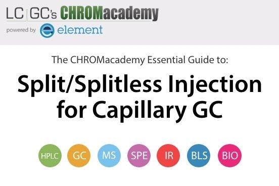 Split/Splitless Injection for Capillary GC