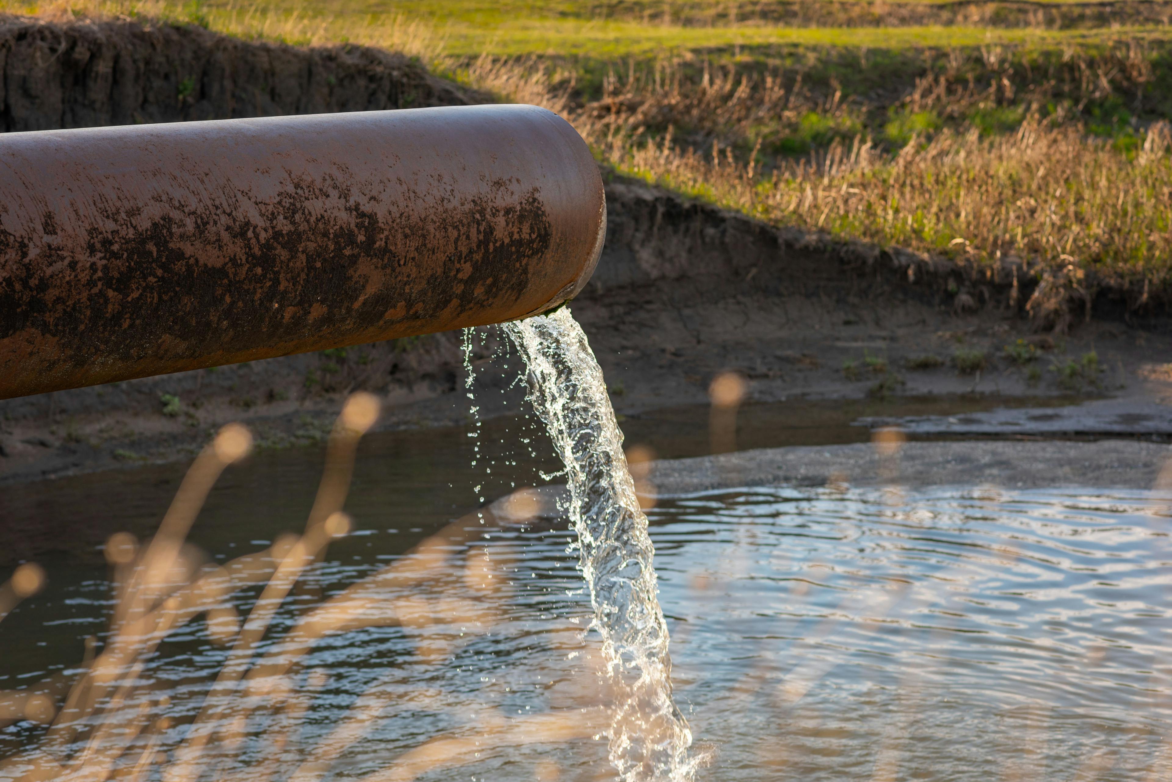 water flows from a pipe into a river against the backdrop of nature. The concept of nature pollution, the release of waste into the water | Image Credit: © Evghenii Blanaru - stock.adobe.com 