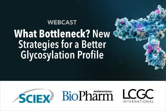 What bottleneck? New strategies for a better glycosylation profile