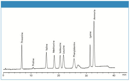 Figure 2: Sodium chromatogram of alternative amino acids analyzed using Ph. Eur. 9.0 methods (3 ug/mL each, 50 uL injection).