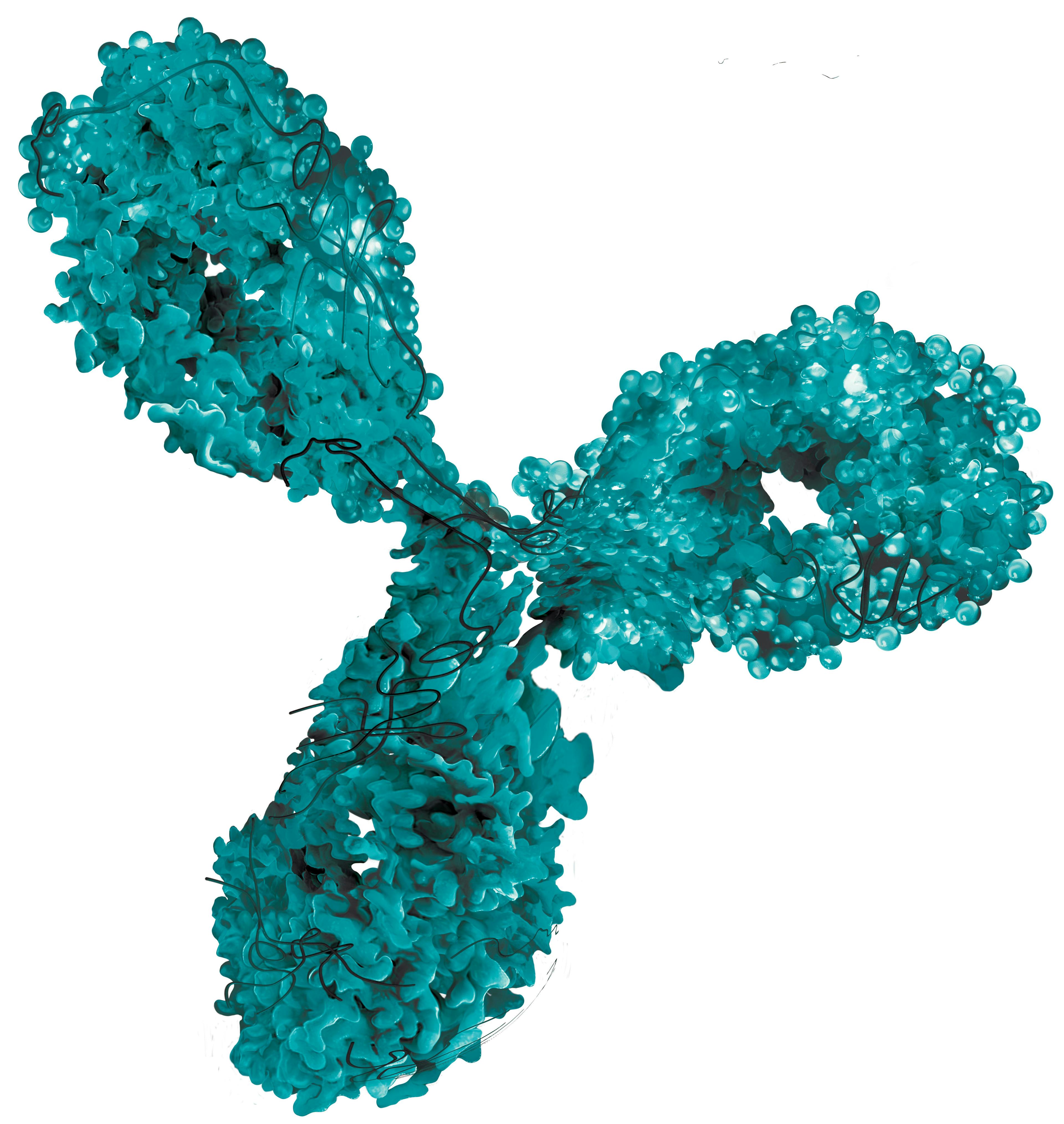 monoclonal antibody blue green 3d rendering isolated on white background | Image Credit: © Mirror-images - stock.adobe.com