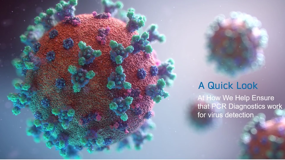 A Quick Look at How We Help Ensure that PCR Diagnostic Work for Virus Detection