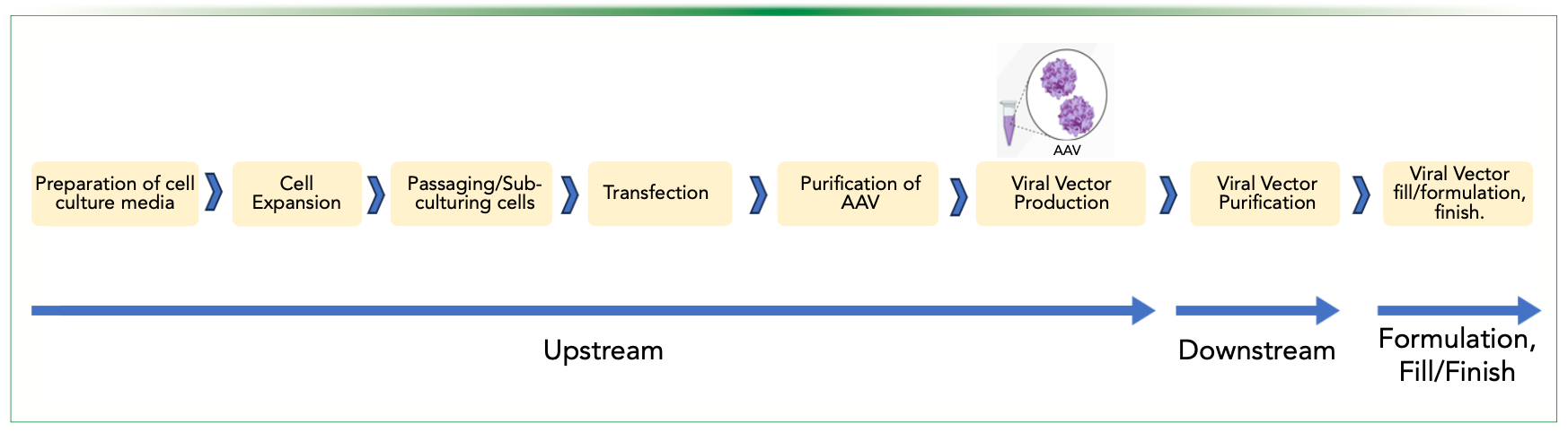 FIGURE 1: Viral vector manufacturing process workflow, which involves various upstream, downstream, formulation, and fill/finish steps. Figure is adapted from reference (4).