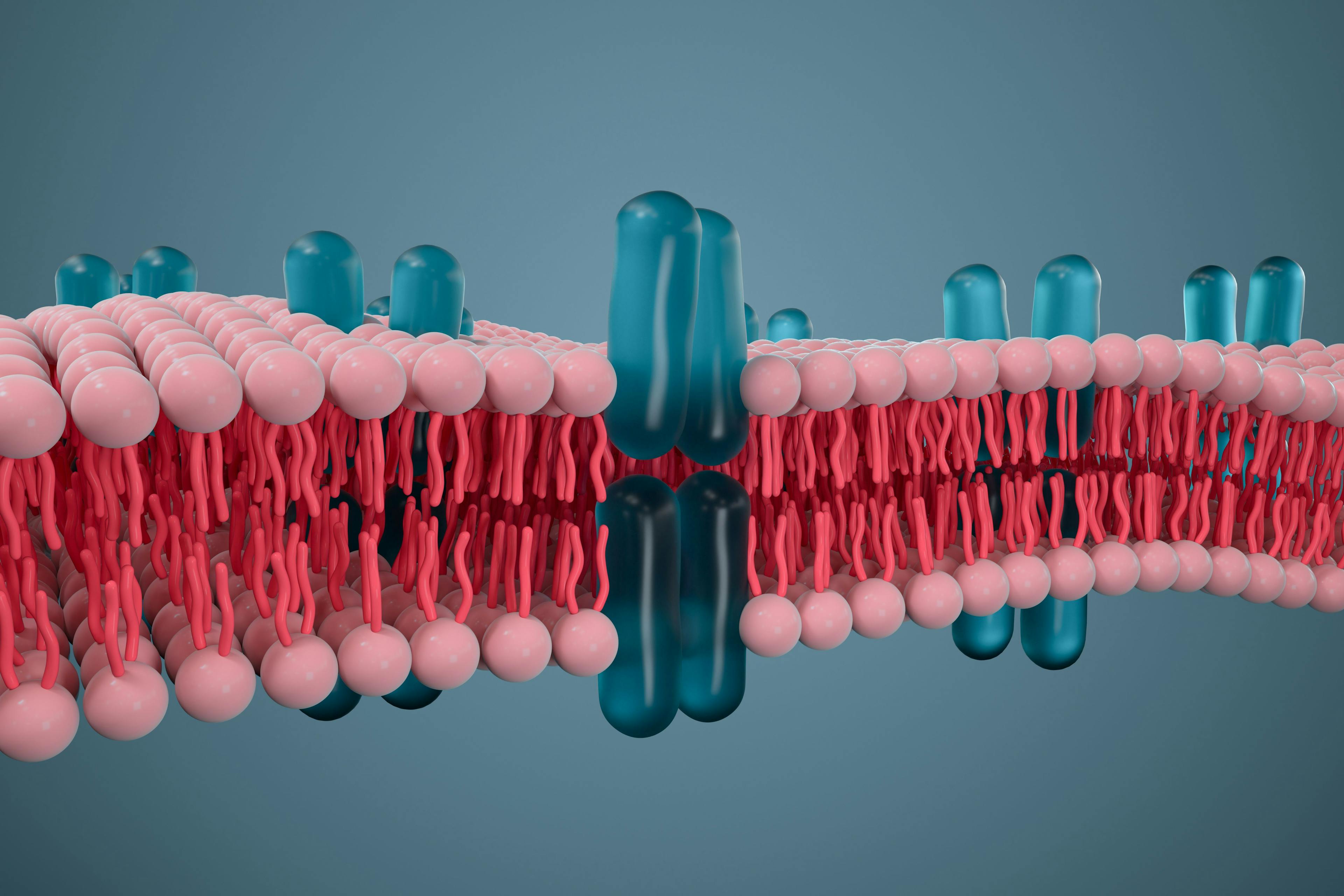 Cell membrane and biology, biological concept, 3d rendering. | Image Credit: © Vink Fan - stock.adobe.com