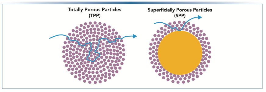 FIGURE 1: Analyte diffusion path for a totally porous particle (TPP) versus a superficially porous particle (SPP).