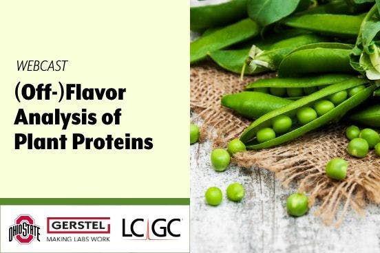(Off-)Flavor Analysis of Plant Proteins