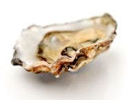 oyster-772141-1408605934526.jpg