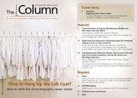 The Column-10-31-2013