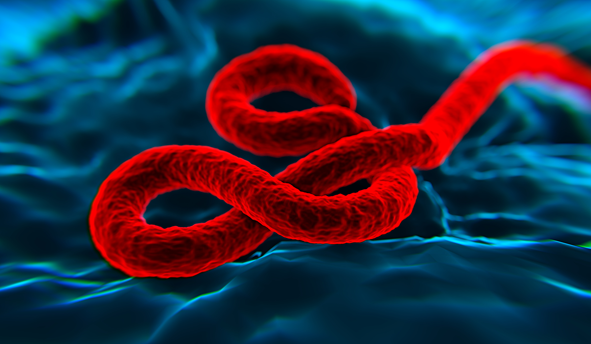 Identifying Novel Ebola Therapeutics