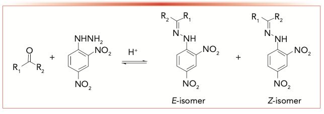 VISUAL A: Proposed isomerization of protonated carbonyl-2,4- dinitrophenylhydrazones within the acidic solution.