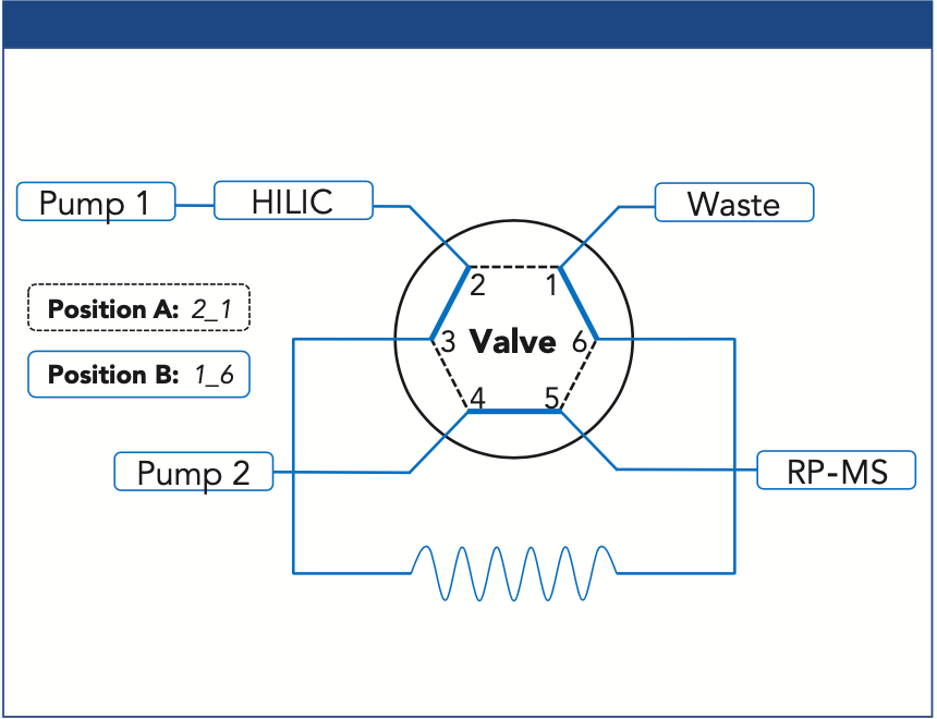 Figure 2: Valve setup for the transfer of PL classes from 1D HILIC to 2D reversed-phase (RP) LC via heart-cut approach.
