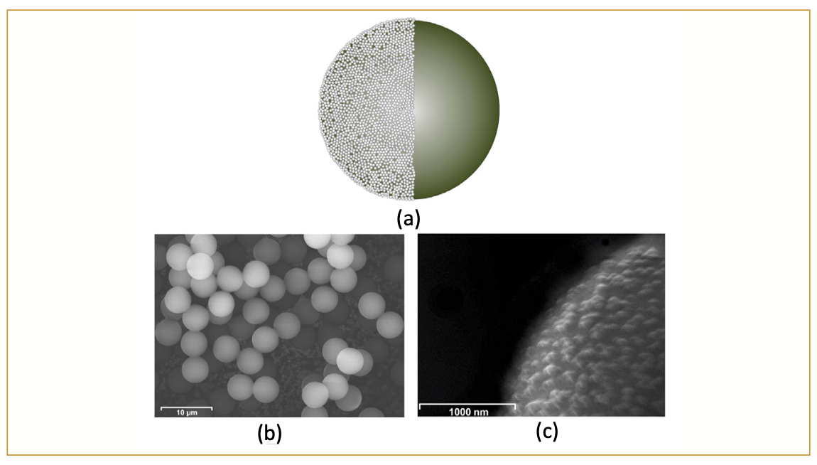 FIGURE 1: (a) Schematic of the individual resin particle of the new stationary phase (SweetSep AEX200). The particle consists of a 5-μm non-porous poly(DVB-co-EVB) core (green) coated with latex particles (white) with quaternary amine anion-exchange groups (for clarity, only half of the nano-beads are shown). (b) SEM picture of mono-disperse resin particles, scale bar 10 μm. (c) SEM picture of the latex agglomerated surface of the mono-disperse resin particles, scale bar 1000 nm.