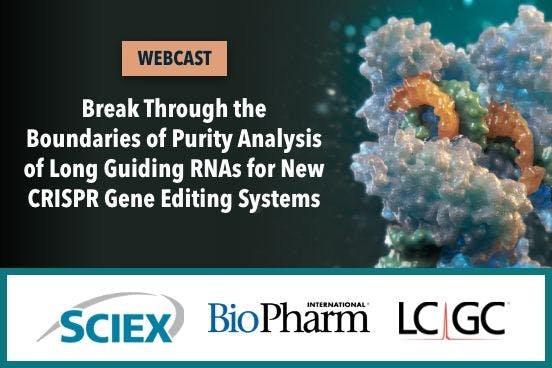 Break Through the Boundaries of Purity Analysis of Long Guiding RNAs for New CRISPR Gene Editing Systems