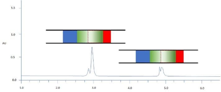 Figure 2: Separation of two model analytes using reversed phase HPLC; C18 100 x 2.1 mm, starting gradient composition 90:10 aq: MeCN for 1 min followed by linear gradient to 70% MeCN in 12 min; Column representations: Green – analyte band / Blue – weaker solvent / Red – stronger solvent; sample diluent 40:60 aq: MeCN; injection volume 10 mL.