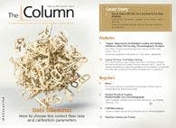 The Column-02-04-2013