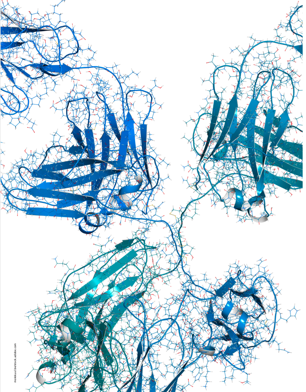Method Robustness and Reproducibility for Monoclonal Antibody Purity Analysis