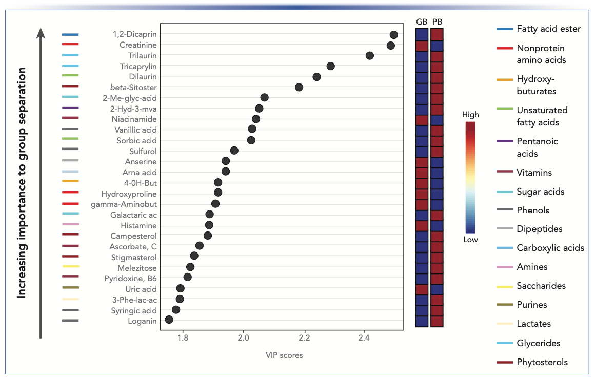 FIGURE 4: VIP plot generated from the PLS-DA models shows compounds ranked according to their prognostic importance (VIP scores) in separating the chemical profiles of GB and PB. The boxes on the right of the plot show the relative concentrations (blue: low to red: high) of each compound in the GB and PB samples. The colored bars at the left of the ranked compounds list the metabolite class of the ranked compounds that were identified using ChemRICH. Figure courtesy of van Vliet and others (3).