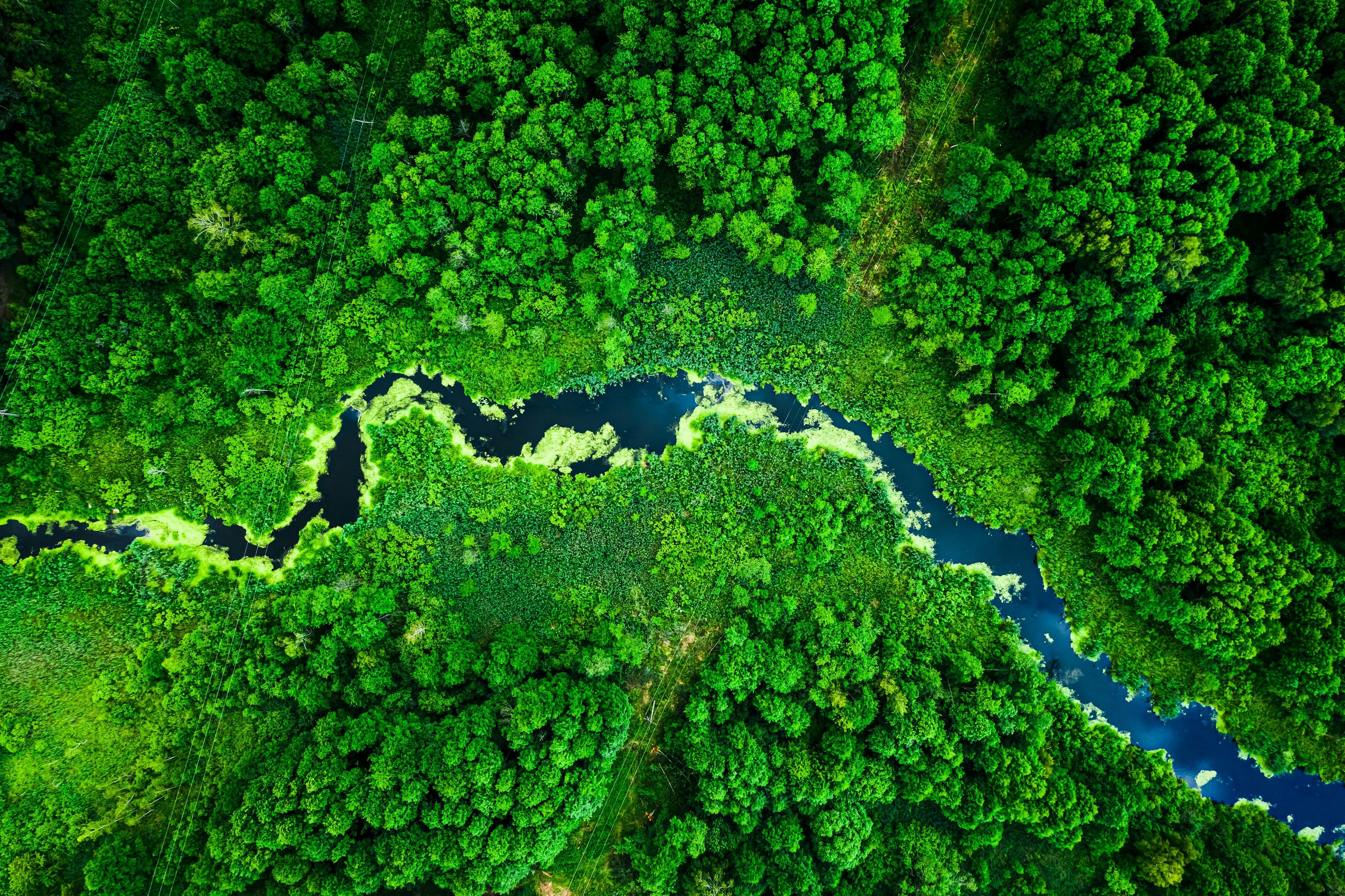 Amazing blooming algae on green river, aerial view | © Image Credit: shaiith - stock.adobe.com