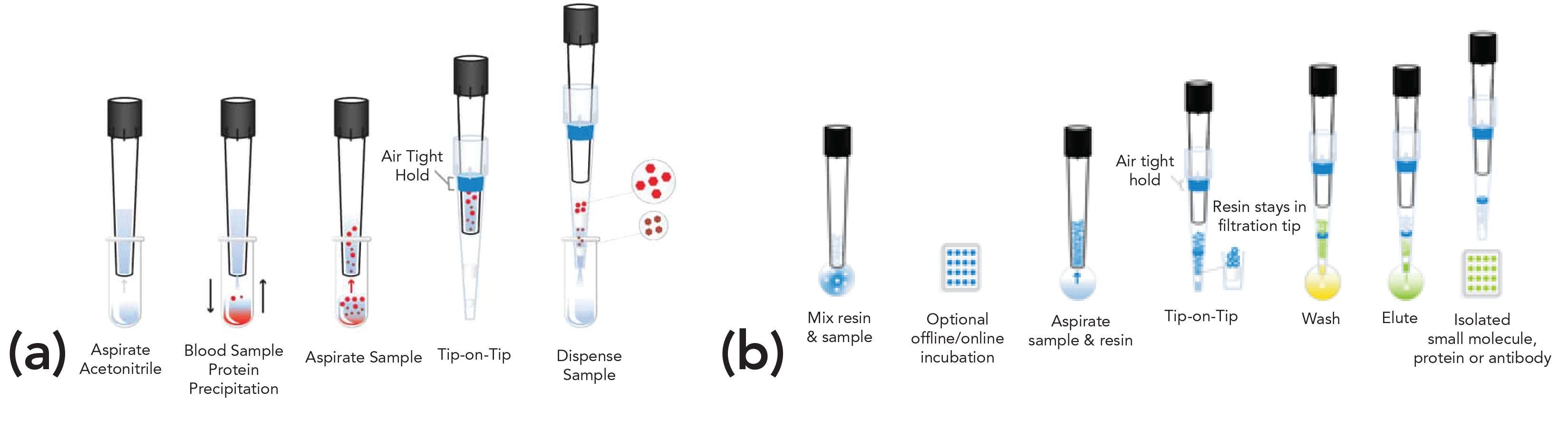 FIGURE 1: DPX Technologies Tip-on-Tip technology. (a) Protein precipitation with the DPX Technologies INTip filtration, demonstrating removal of blood proteins with acetonitrile aspiration. (b) The generalized schematic of the SPE mode features the same steps as in conventional SPE.