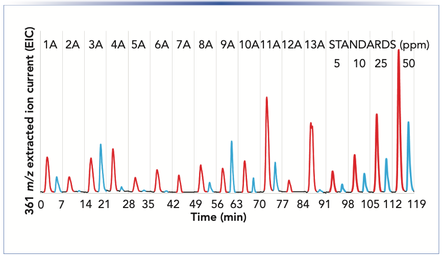 FIGURE 2: LC–MS “misergram” of isohumulones IAA and humulones AA using SIM at 361 m/z of student beers listed in Table I. The peaks are color coded with IAA shown in red and AA in blue. The last four samples were external standard (5, 10, 25, and 50 ppm) and were prepared in unhopped beer. Column: C18 Poroshell 120; 30 x 2.1 mm; 2.7 μm particle size. Mobile phase: 2 mM ammonium formate in acetonitrile:water (1:1); 0.20 mL/min. Injection: 5 mL sample injection of filtered, decarbonated beer. Injections were “stacked” during chromatographic run at 7-min intervals. LC–MS details are found in experimental section.