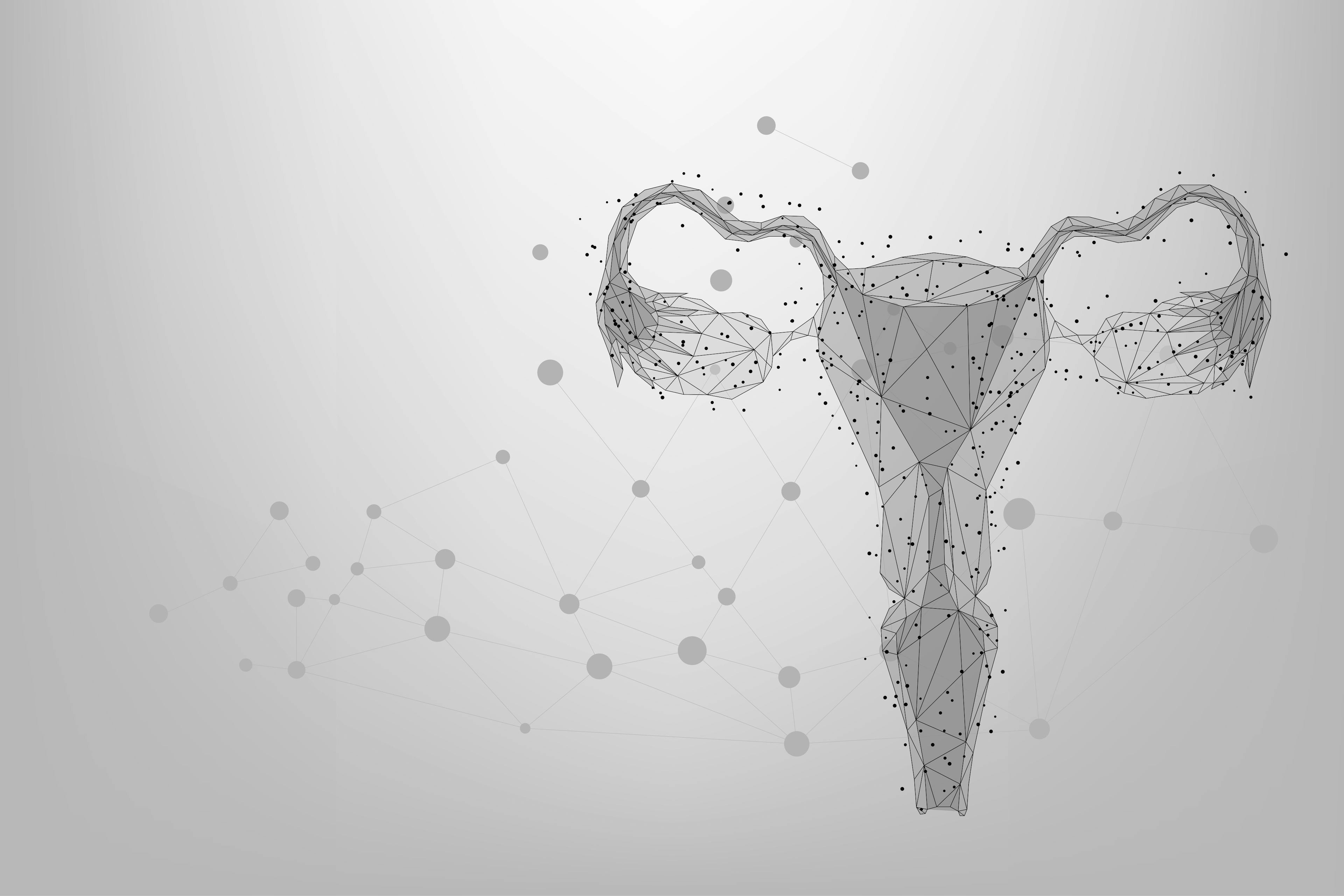 Abstract mesh line and point Ovaries. Low poly female reproductive organs uterus and ovaries health care. Polygonal illustration | Image Credit: © Brazhyk - stock.adobe.com
