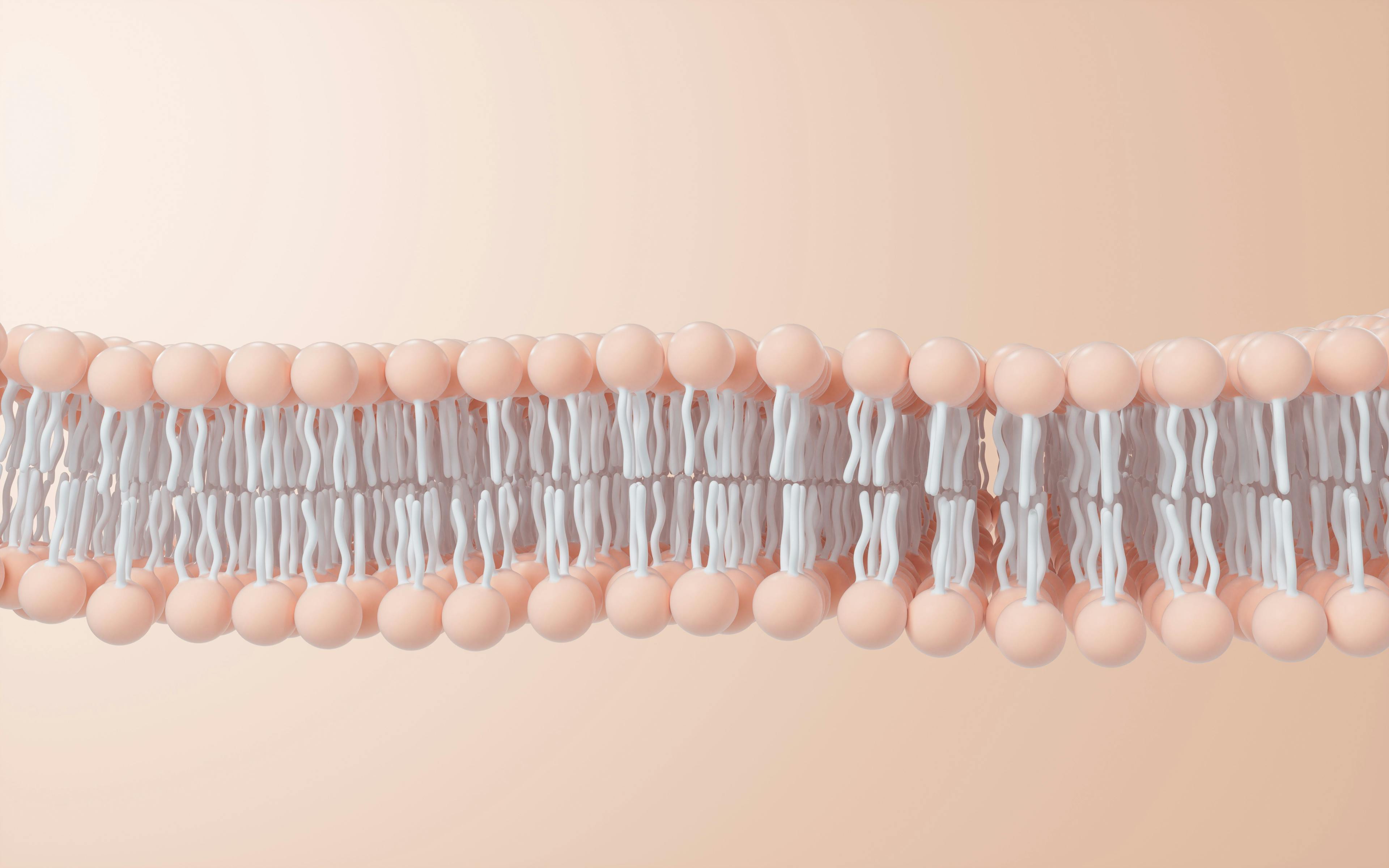 Cell membrane structure background, 3d rendering. | Image Credit: © Vink Fan - stock.adobe.com