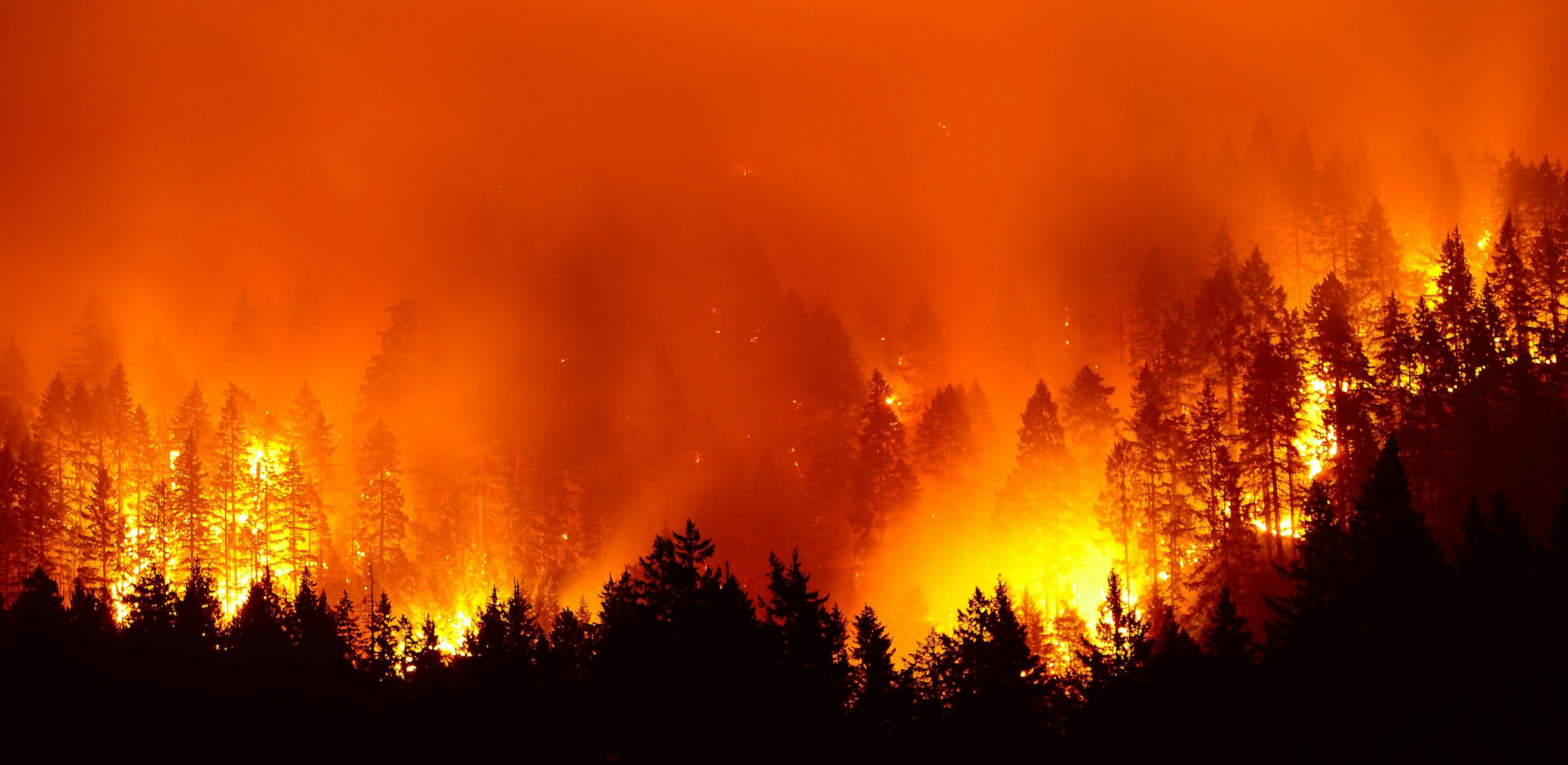 Forest fire | Image Credit: © Kirk Atkinson - stock.adobe.com