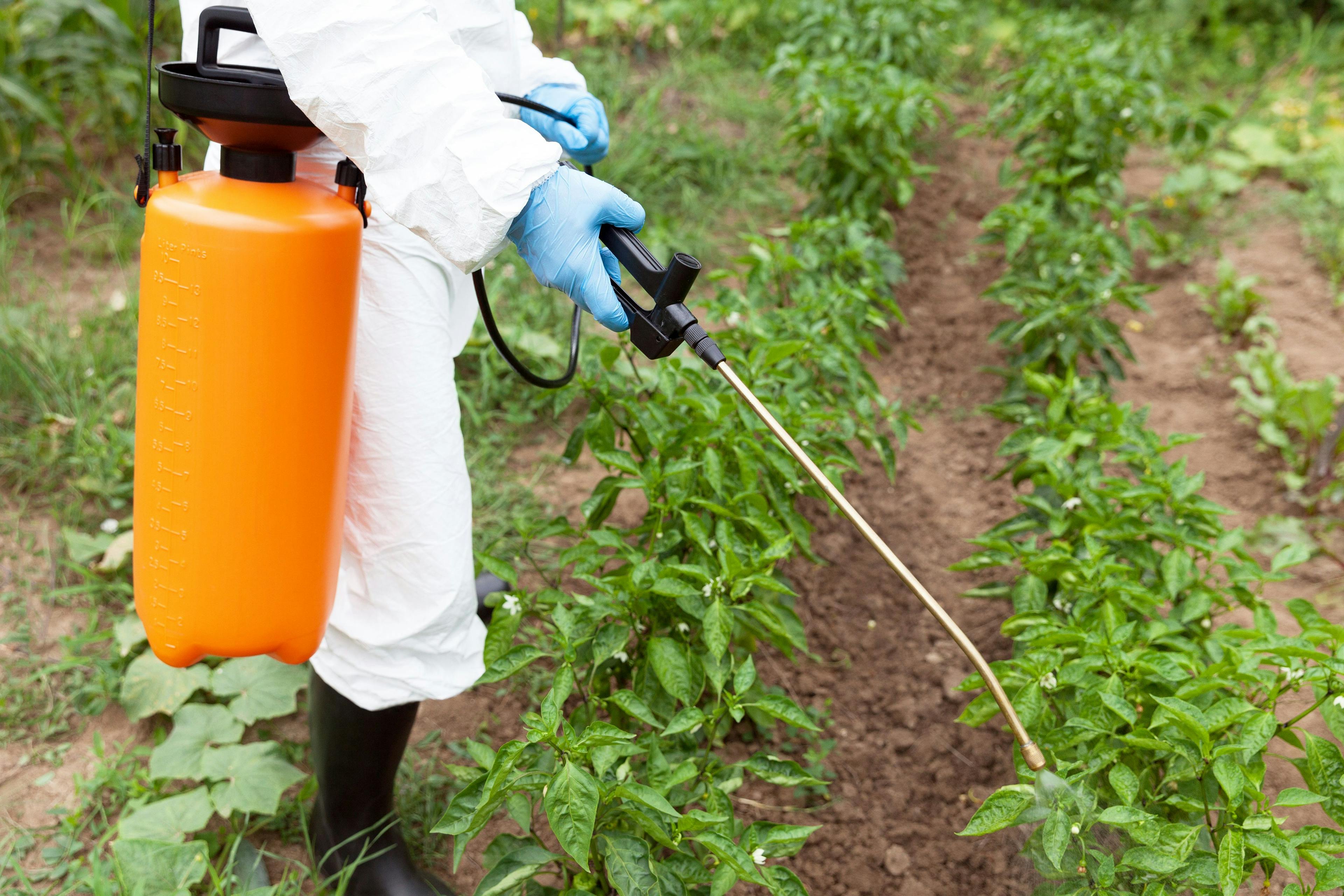 Herbicide spraying. Non-organic vegetables. | Image Credit: © wellphoto - stock.adobe.com
