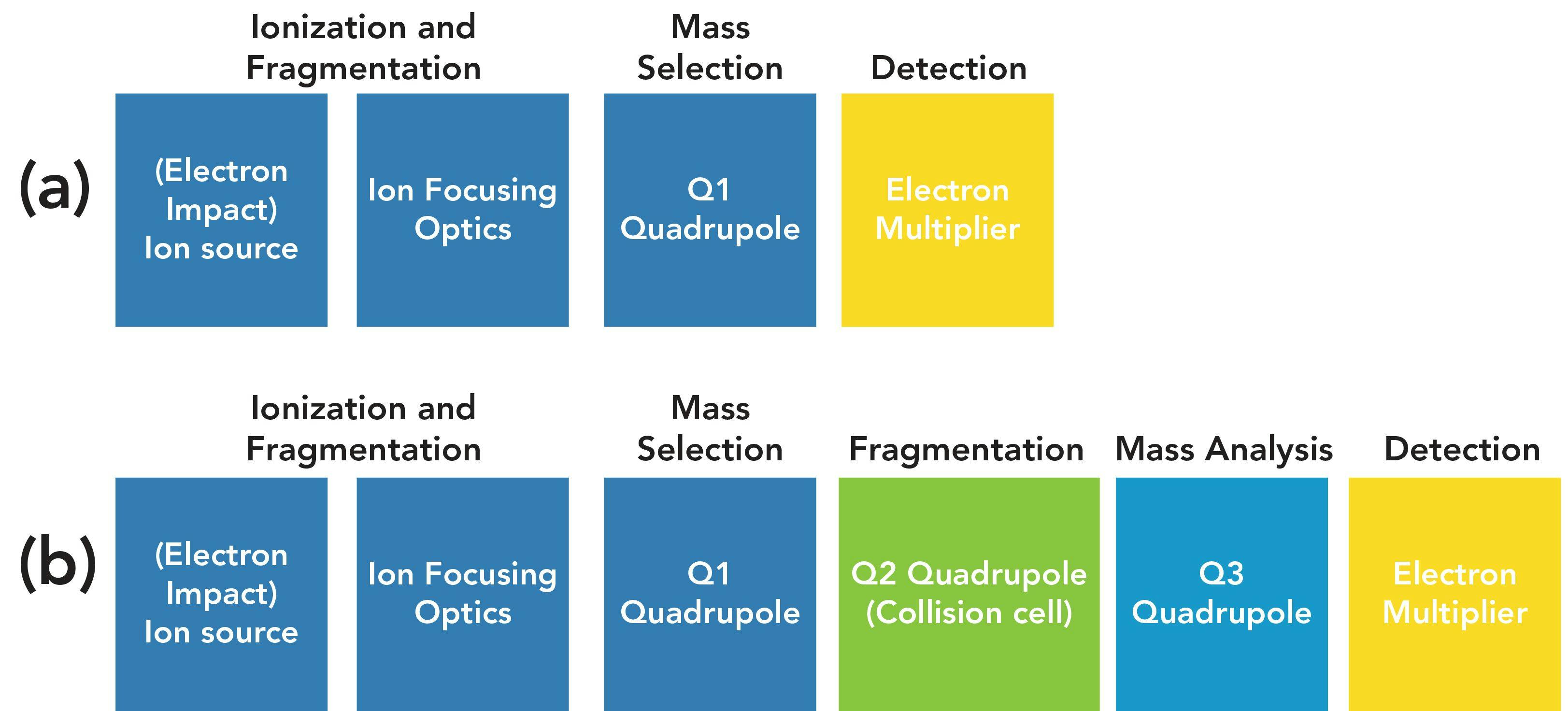 FIGURE 1: Comparison of GC–MS and GC–MS/MS instrument configurations. (a) GC–MS and (b) GC–TQMS.