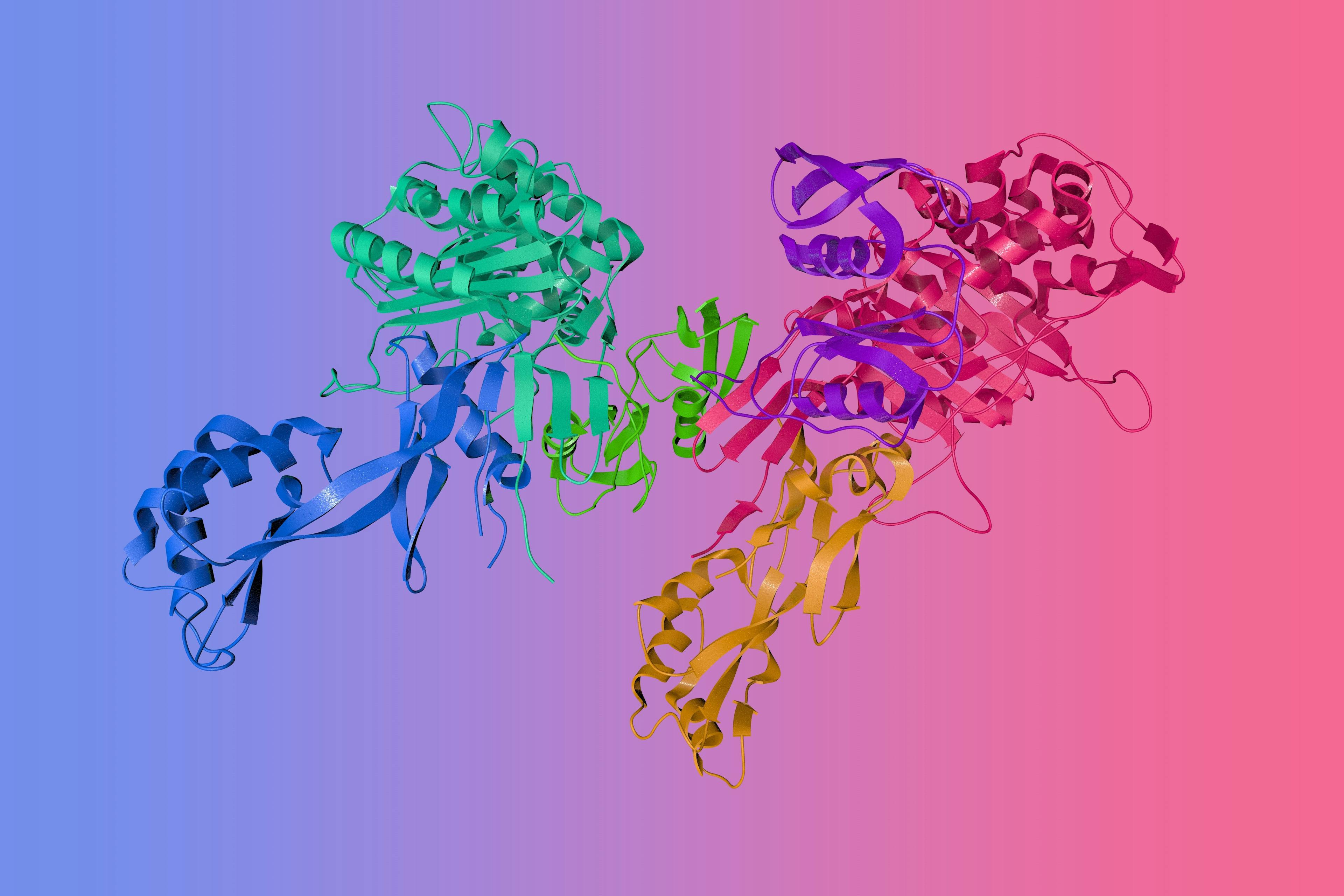 Penicillin-binding protein 2X acyl-enzyme complex from Streptococcus pneumoniae. Ribbons diagram with differently colored protein chains based on protein data bank entry 2zc3. 3d illustration | Image Credit: © Maryna Olyak - stock.adobe.com