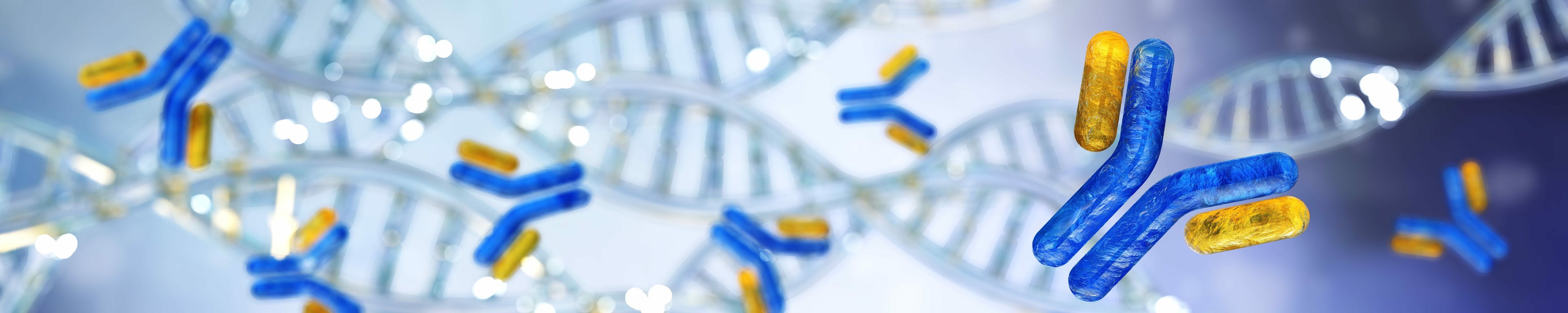 Panorama of antibodies. immunoglobulins against the background of DNA. 3d rendering. | Image Credit: © ustas - stock.adobe.com