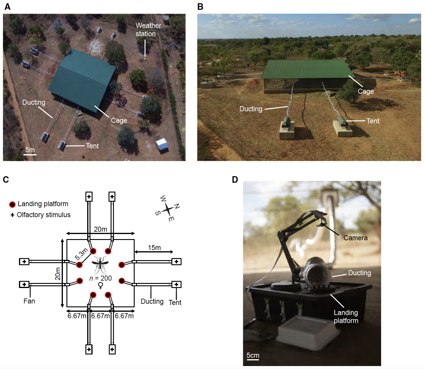 Giraldo, D.; Rankin-Turner, S.; Corver, A.; et al. Human scent guides mosquito thermotaxis and host selection under naturalistic conditions. Curr. Biol. 2023, 33 (12), 2367-2382. DOI: 10.1016/j.cub.2023.04.050