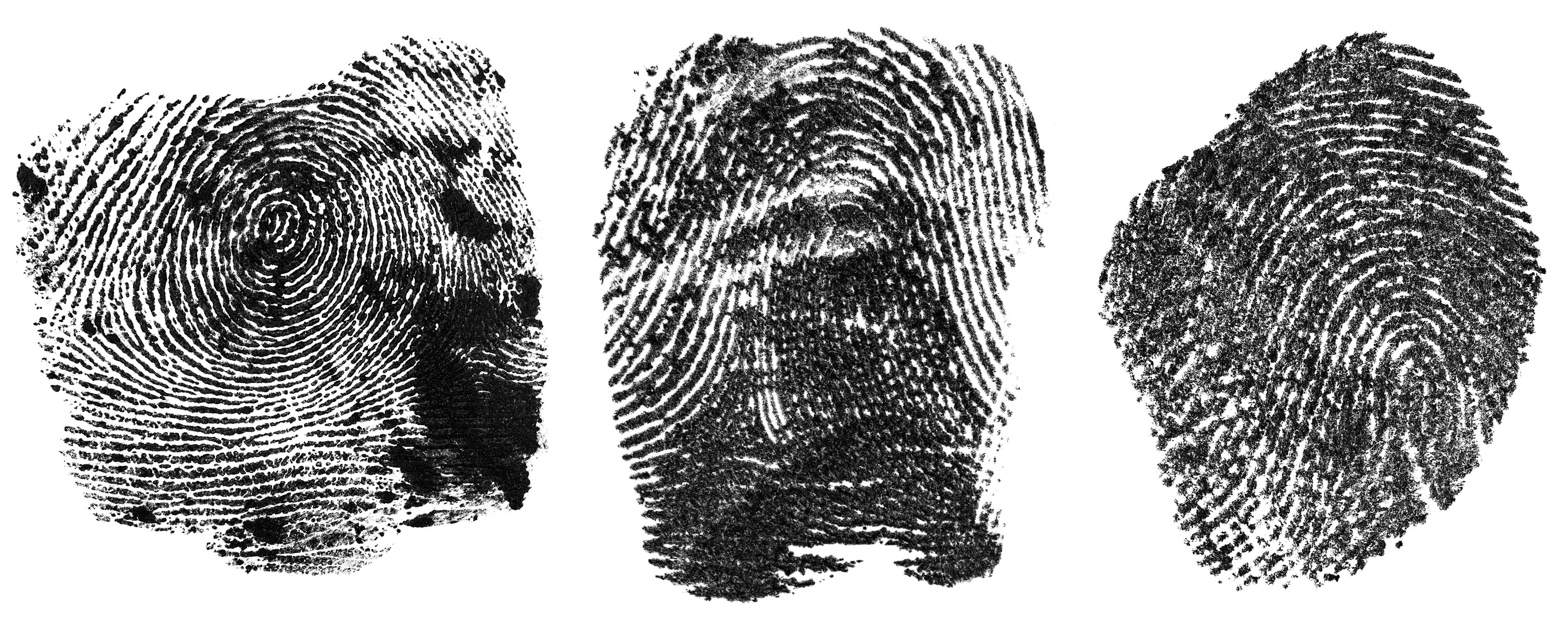 Collection of black fingerprints made with ink, isolated on a white background. Human fingerprint. | Image Credit: © domnitsky - stock.adobe.com