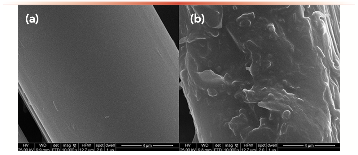 FIGURE 2: SEM micrographs of (a) blank Zylon fiber and (b) Sol-gel PEG coating fiber (10,000-fold magnification).