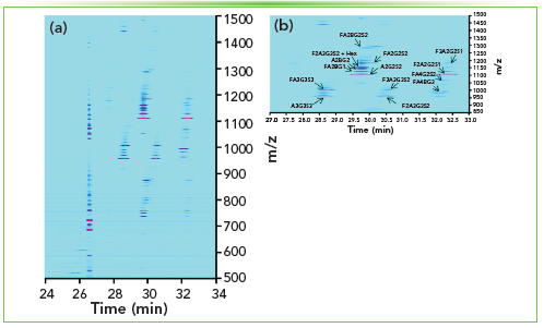 Figure 5: CE–MS in N-glycan profiling of EVs isolated from blood plasma. (a) Ion density map (intensity level: 2.0 E6) of the CZE–MS analysis of human blood-derived total EV isolate. Panel (b) shows a zoomed-in portion of the same density map at a selected time (min) and m/z range. N-glycans were labeled with 8-aminopyrene-1,3,6-trisulfonic acid (APTS) before their CZE–MS analysis in negative ESI mode. APTS-labeled N-glycans were separated by applying 20 kV in reverse polarity, and the supplemental CZE pressure was switched off for 16 min before applying 5 psi during the rest of the analysis. Sample injections were performed at 5 psi for 40 s, which corresponds to ~34 nL injection volume (that is ~5.3% of the capillary volume) and the amount of EV isolate released from ~340 nL of plasma (that is ~1 μL of human blood). The experimental techniques were the same as previously described (14).