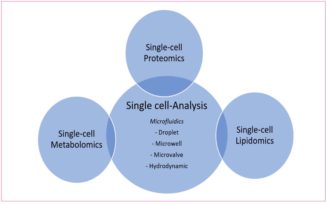 Figure 1: Microfluidics coupled with MS for single cell proteomics, metabolomics, and lipidomics analysis. Figure adapted from reference (2).